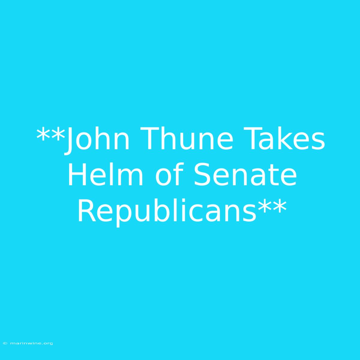 **John Thune Takes Helm Of Senate Republicans** 