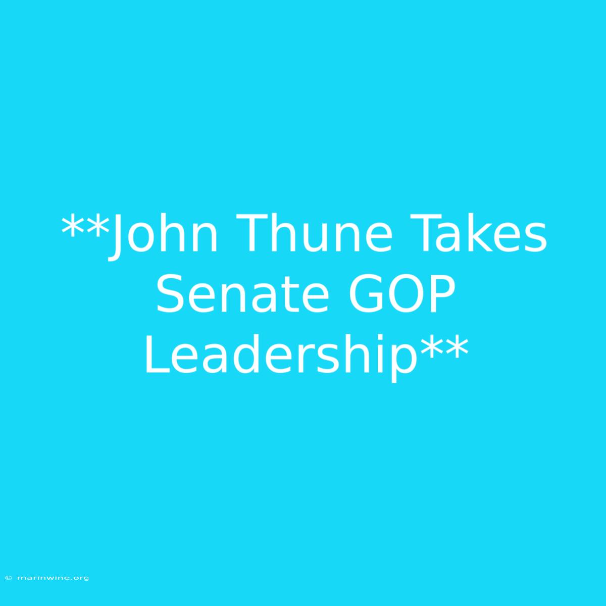 **John Thune Takes Senate GOP Leadership**