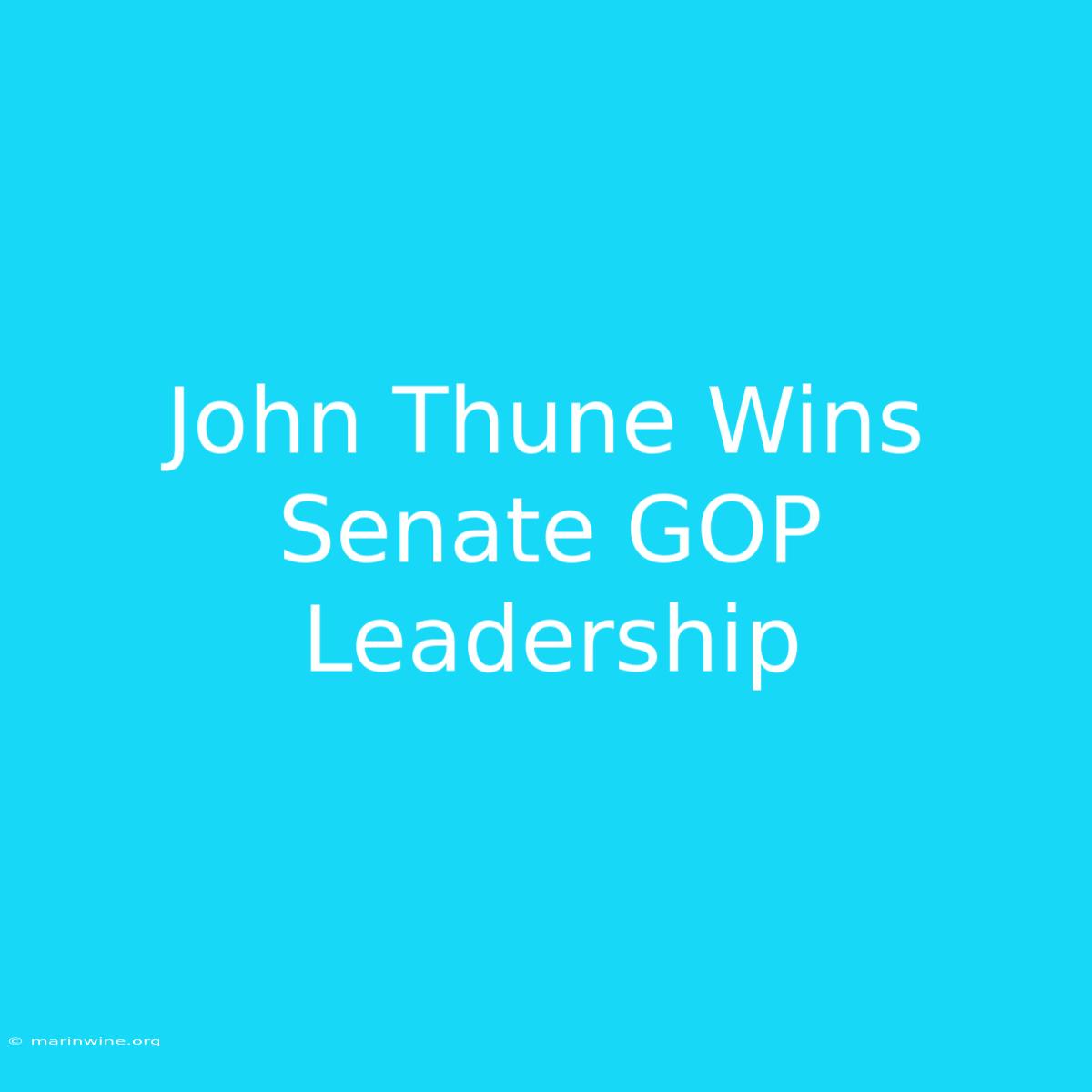 John Thune Wins Senate GOP Leadership