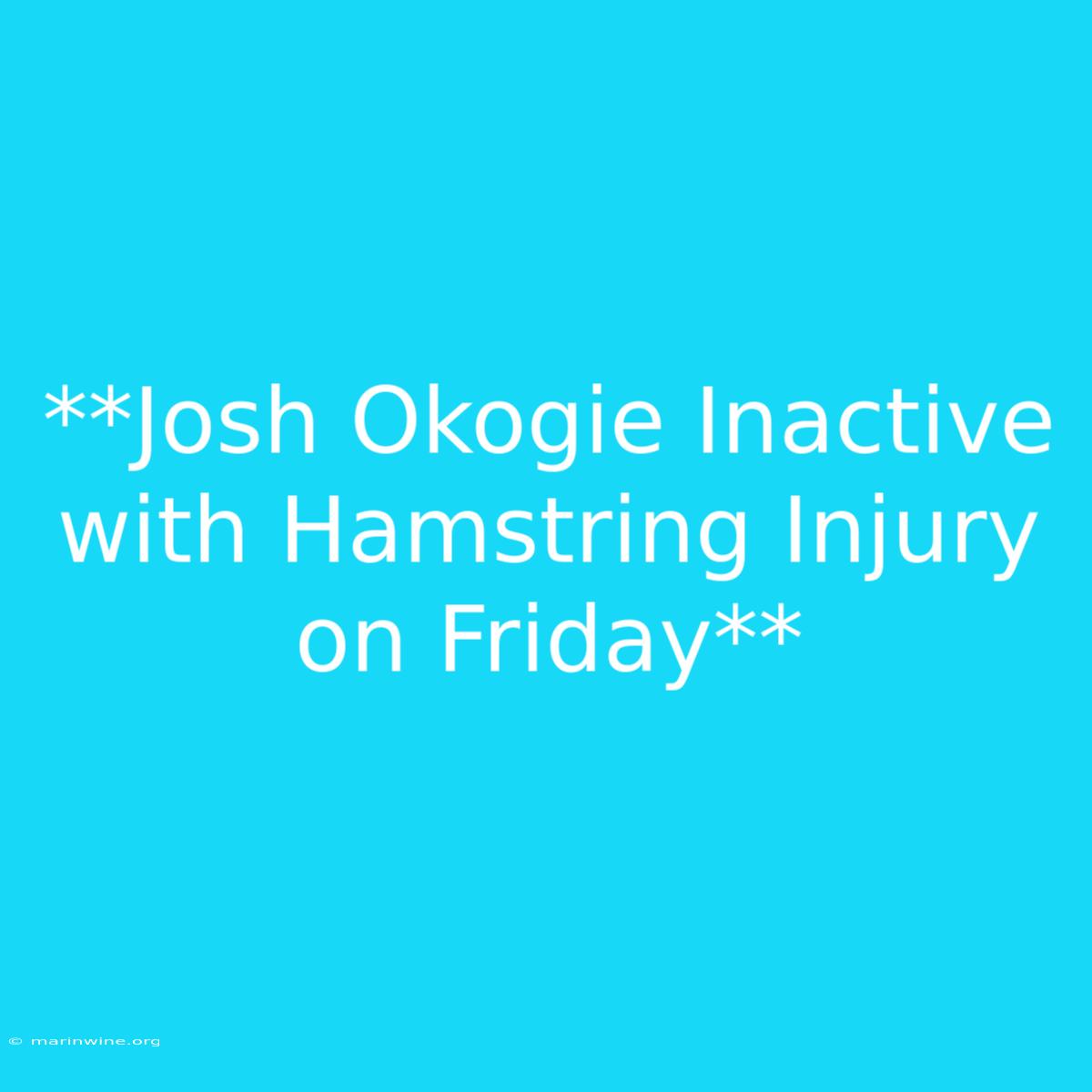 **Josh Okogie Inactive With Hamstring Injury On Friday** 