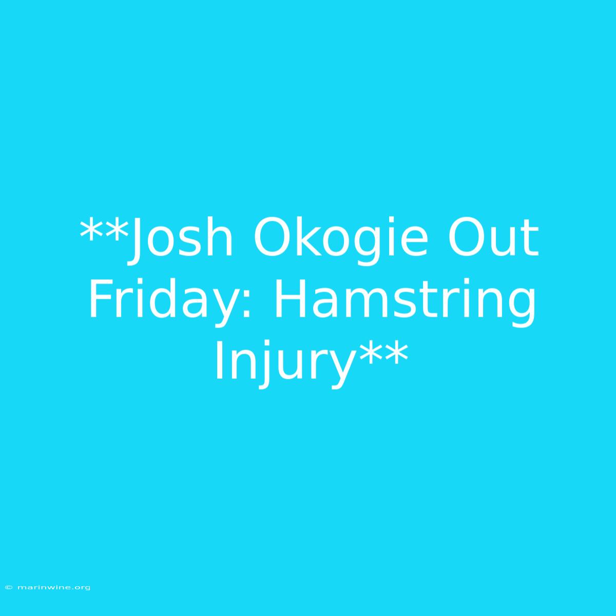 **Josh Okogie Out Friday: Hamstring Injury**