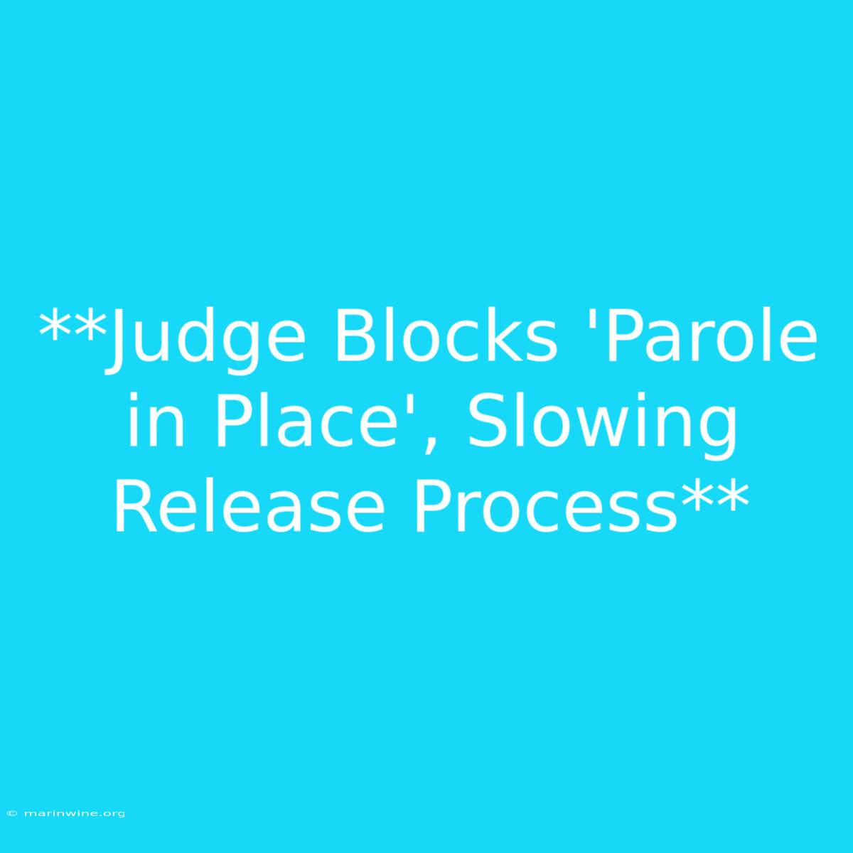 **Judge Blocks 'Parole In Place', Slowing Release Process**