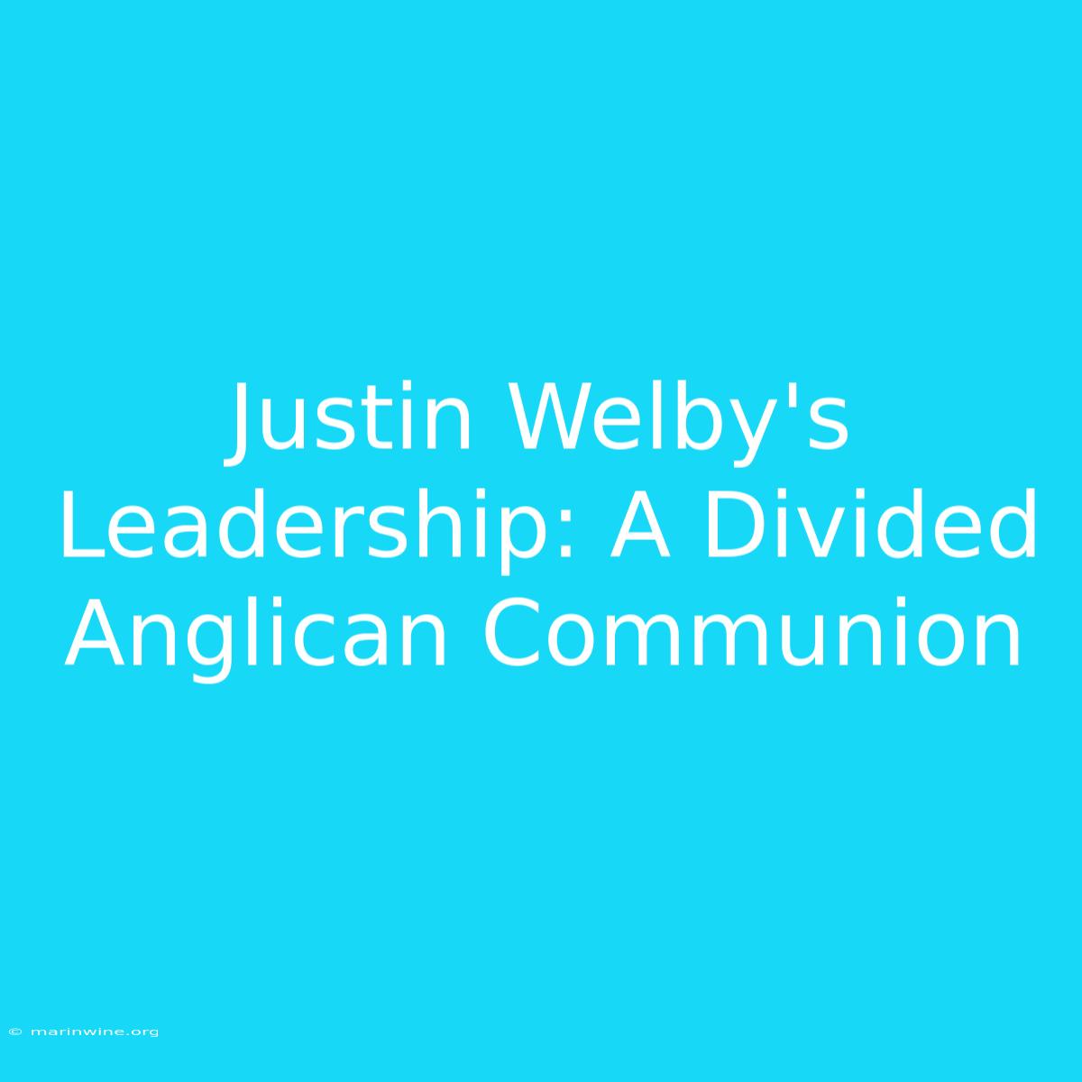 Justin Welby's Leadership: A Divided Anglican Communion