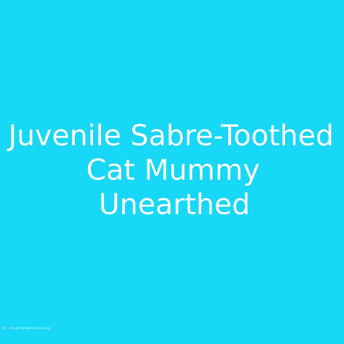 Juvenile Sabre-Toothed Cat Mummy Unearthed