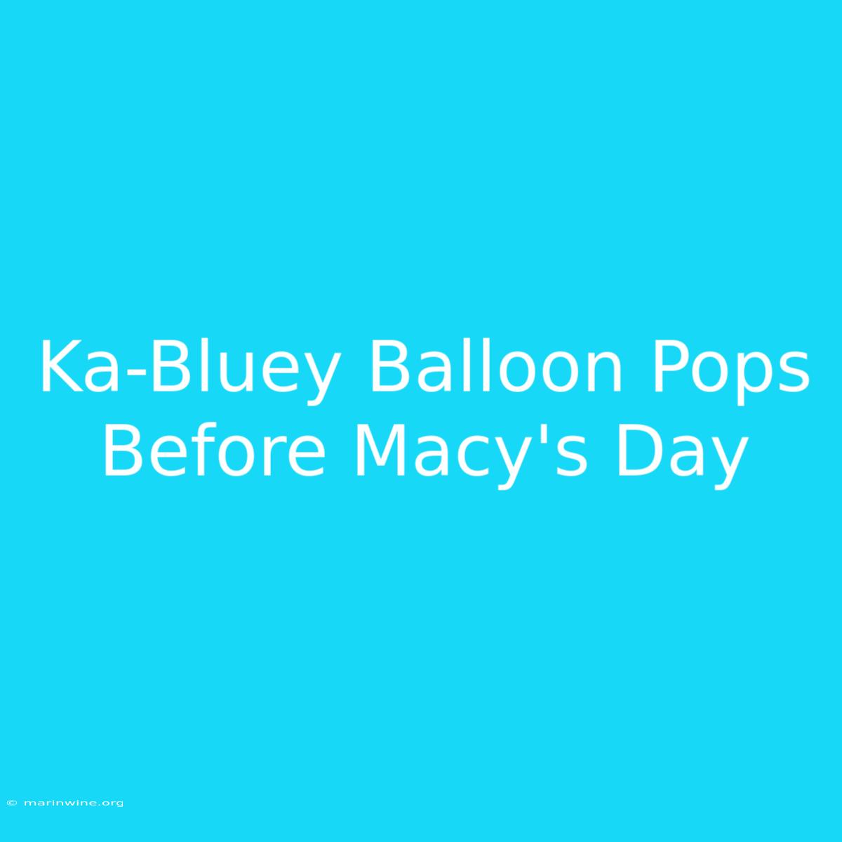 Ka-Bluey Balloon Pops Before Macy's Day