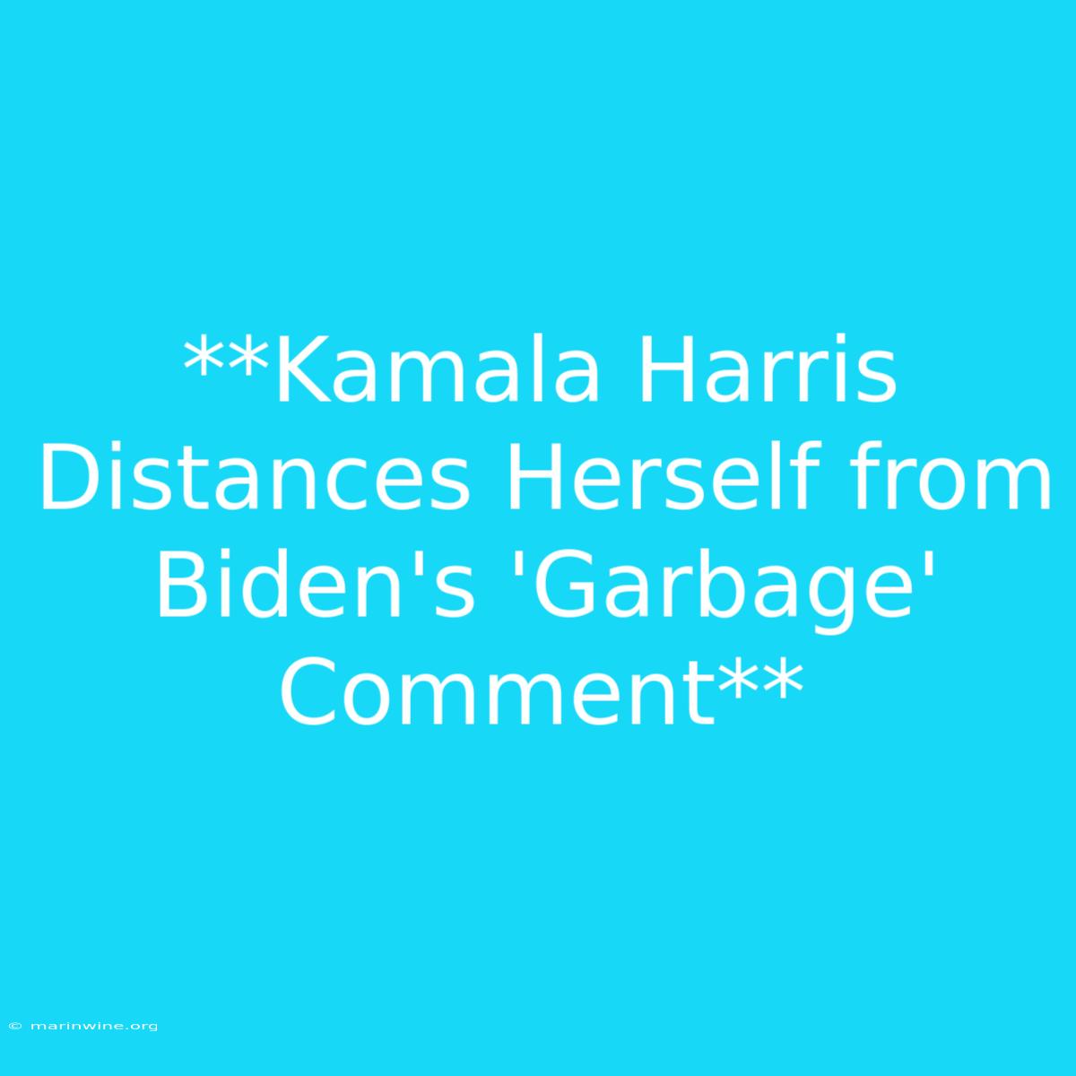 **Kamala Harris Distances Herself From Biden's 'Garbage' Comment**