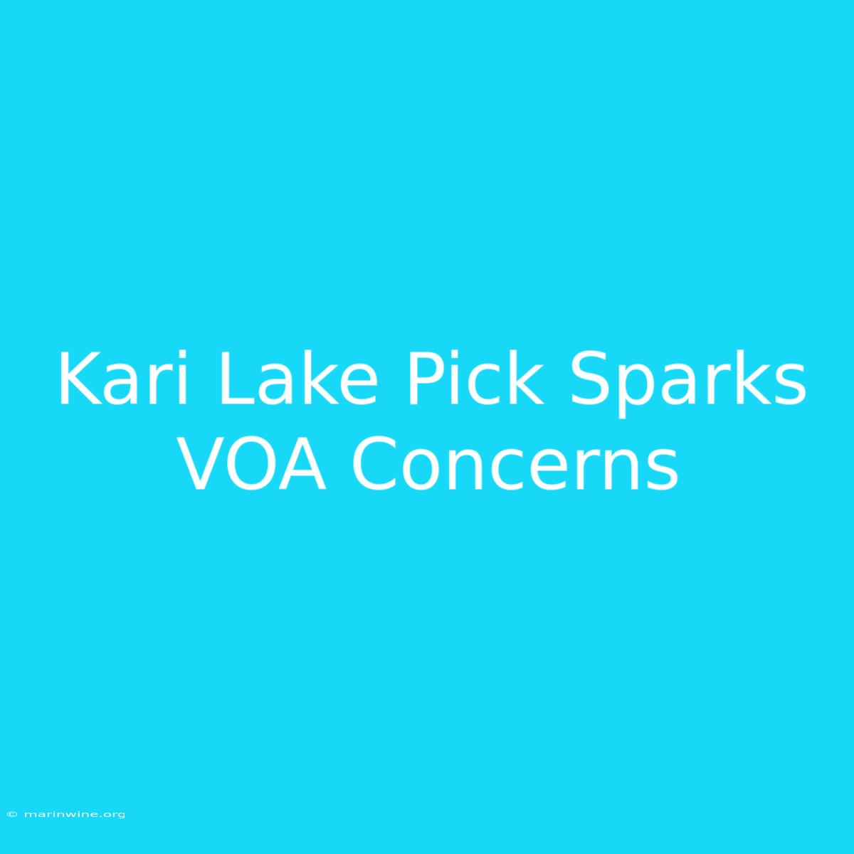 Kari Lake Pick Sparks VOA Concerns