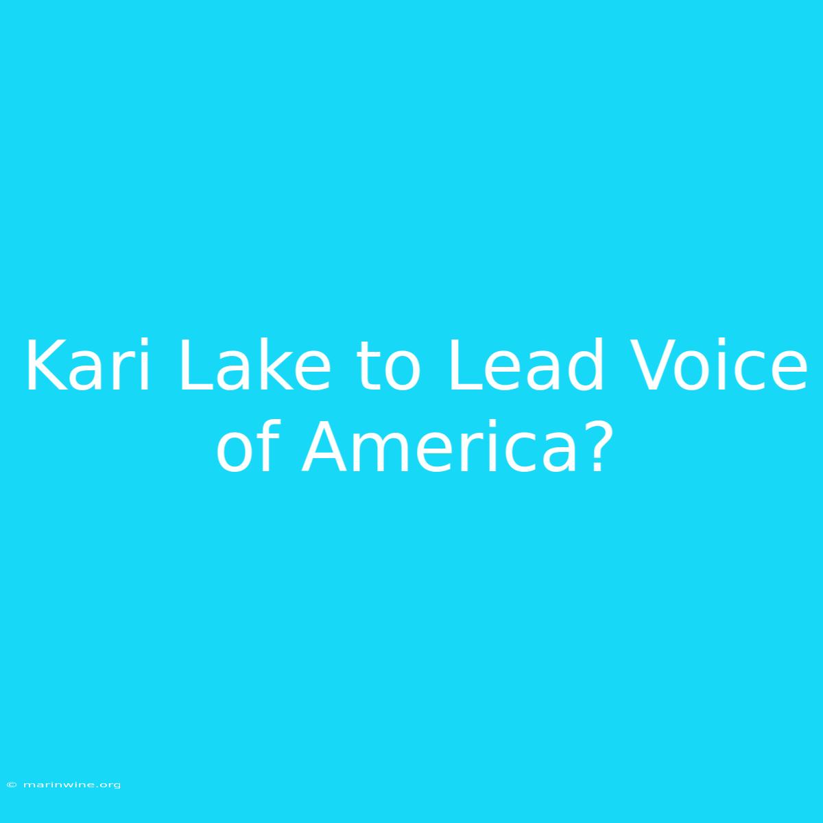 Kari Lake To Lead Voice Of America?