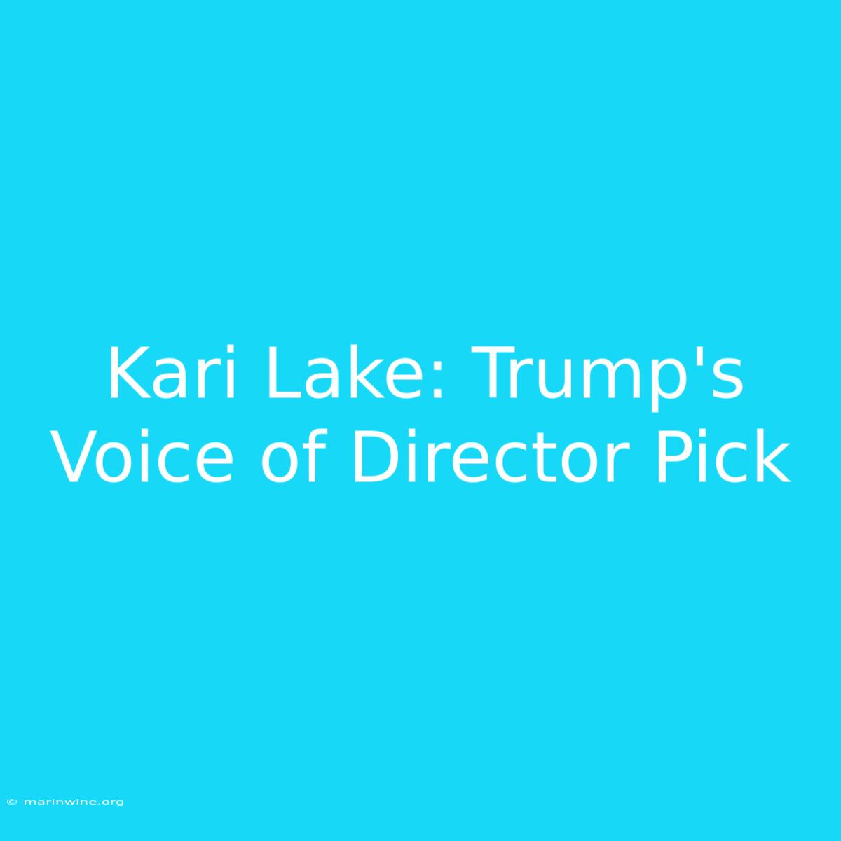 Kari Lake: Trump's Voice Of Director Pick