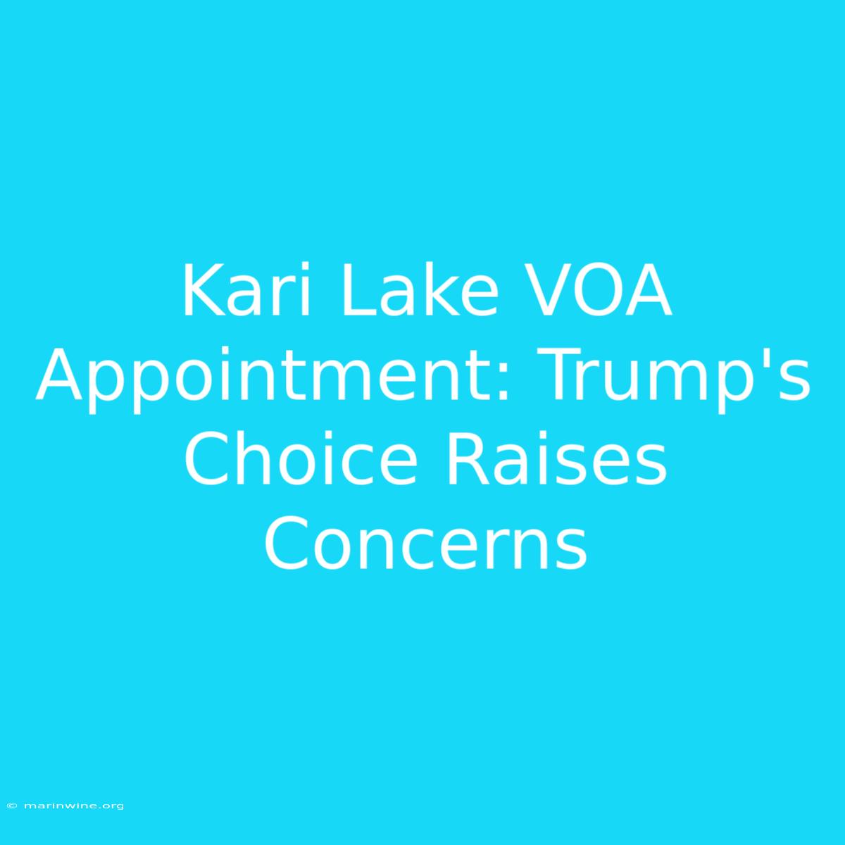 Kari Lake VOA Appointment: Trump's Choice Raises Concerns