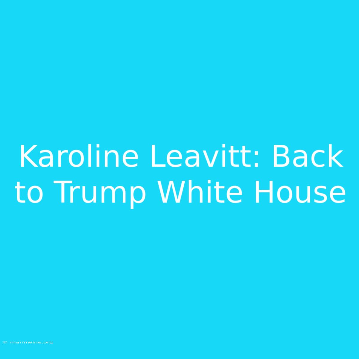 Karoline Leavitt: Back To Trump White House