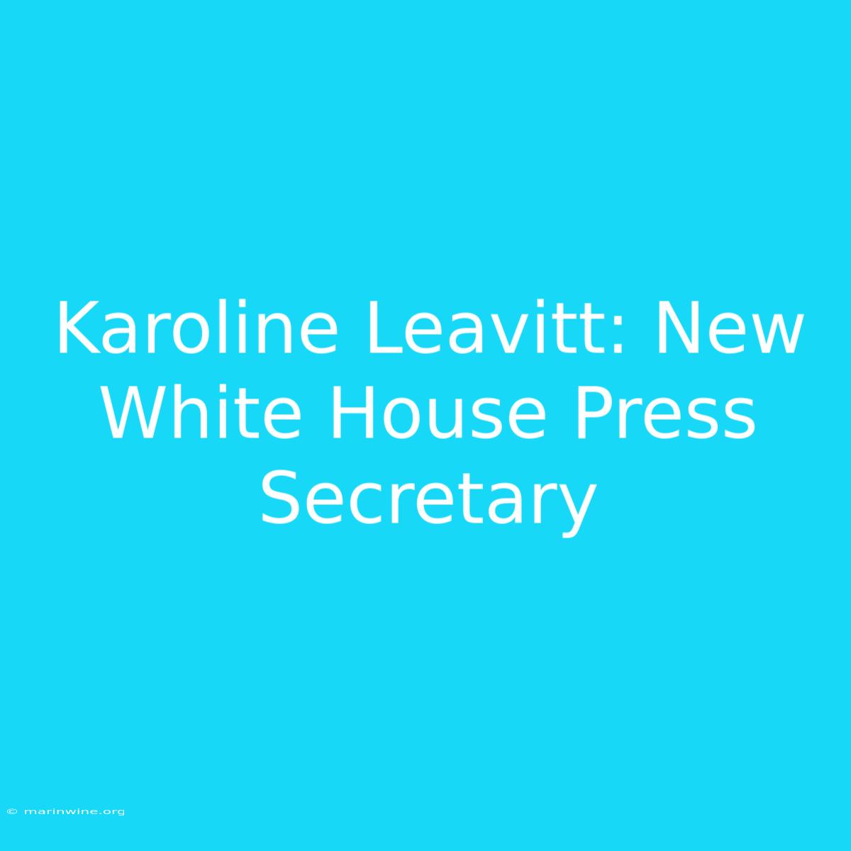 Karoline Leavitt: New White House Press Secretary