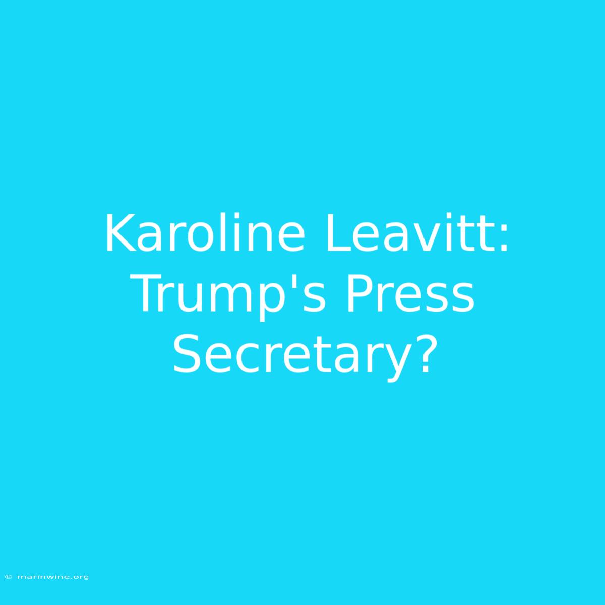 Karoline Leavitt: Trump's Press Secretary?