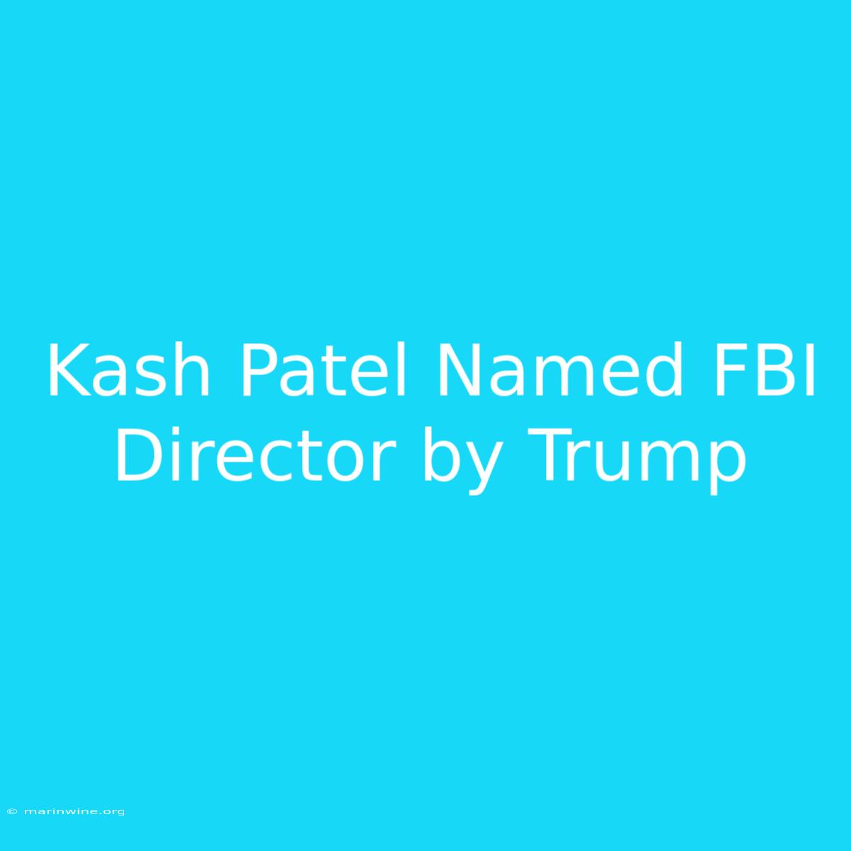 Kash Patel Named FBI Director By Trump