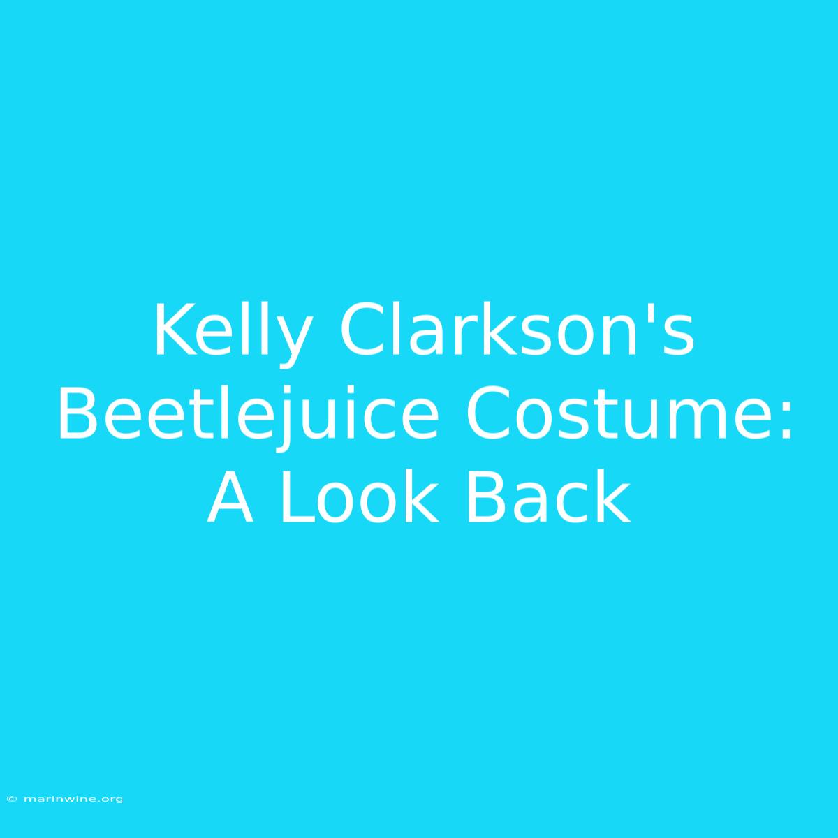 Kelly Clarkson's Beetlejuice Costume: A Look Back