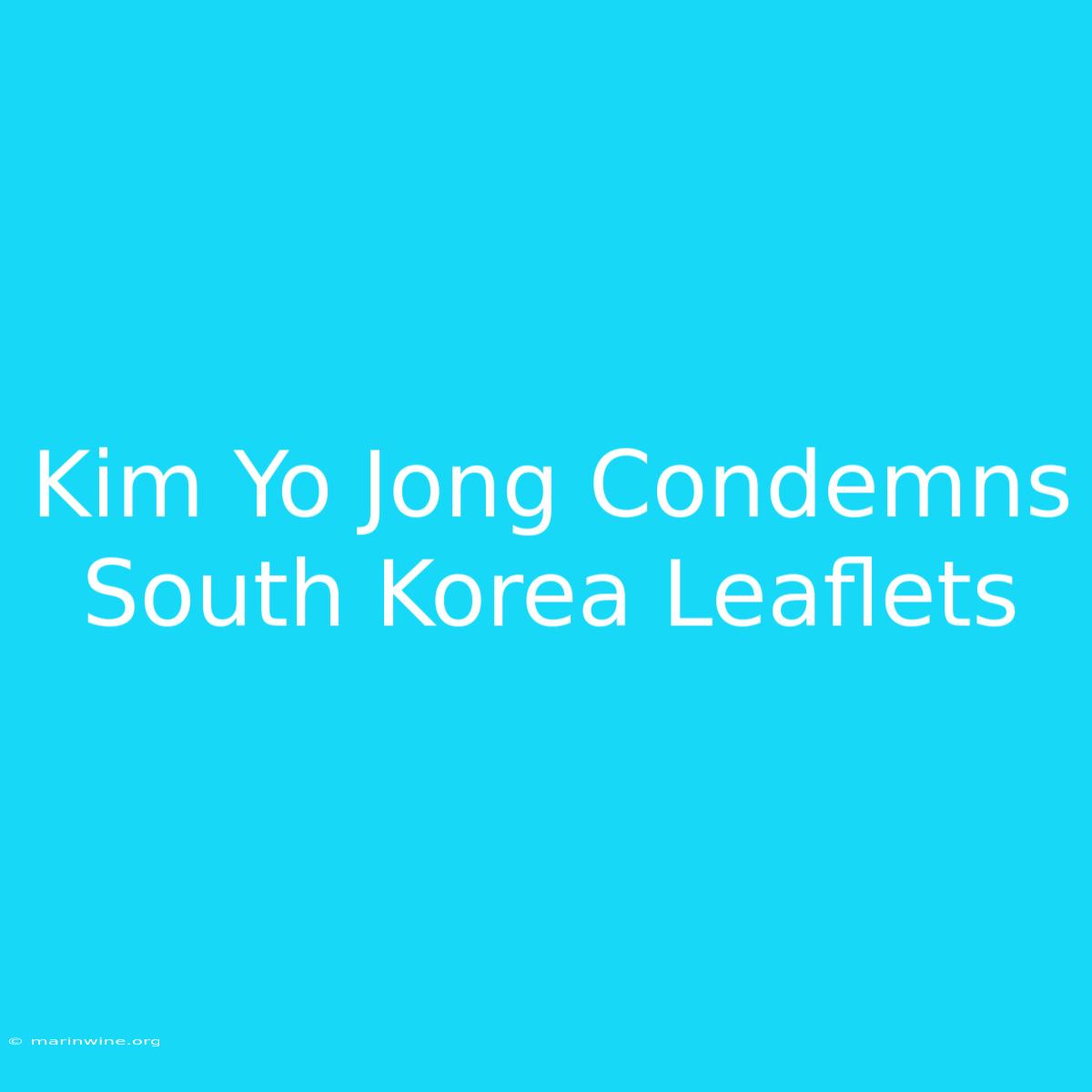 Kim Yo Jong Condemns South Korea Leaflets