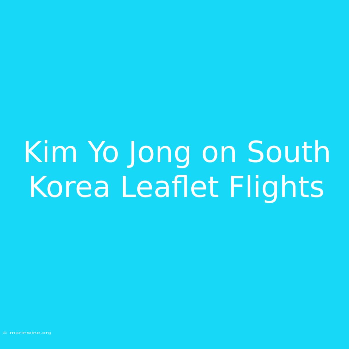 Kim Yo Jong On South Korea Leaflet Flights