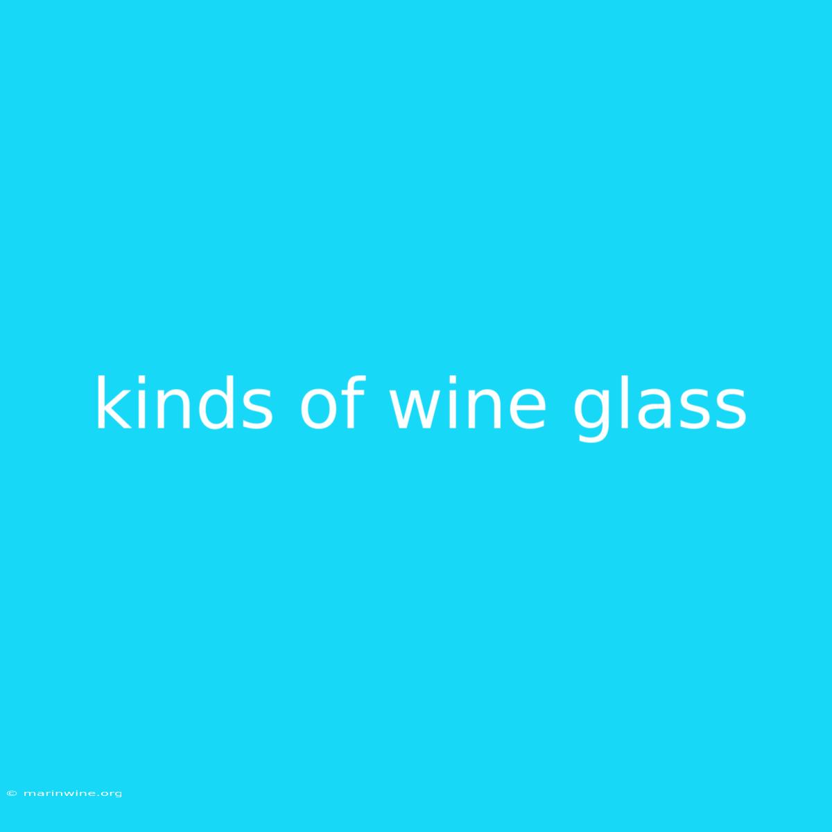 Kinds Of Wine Glass