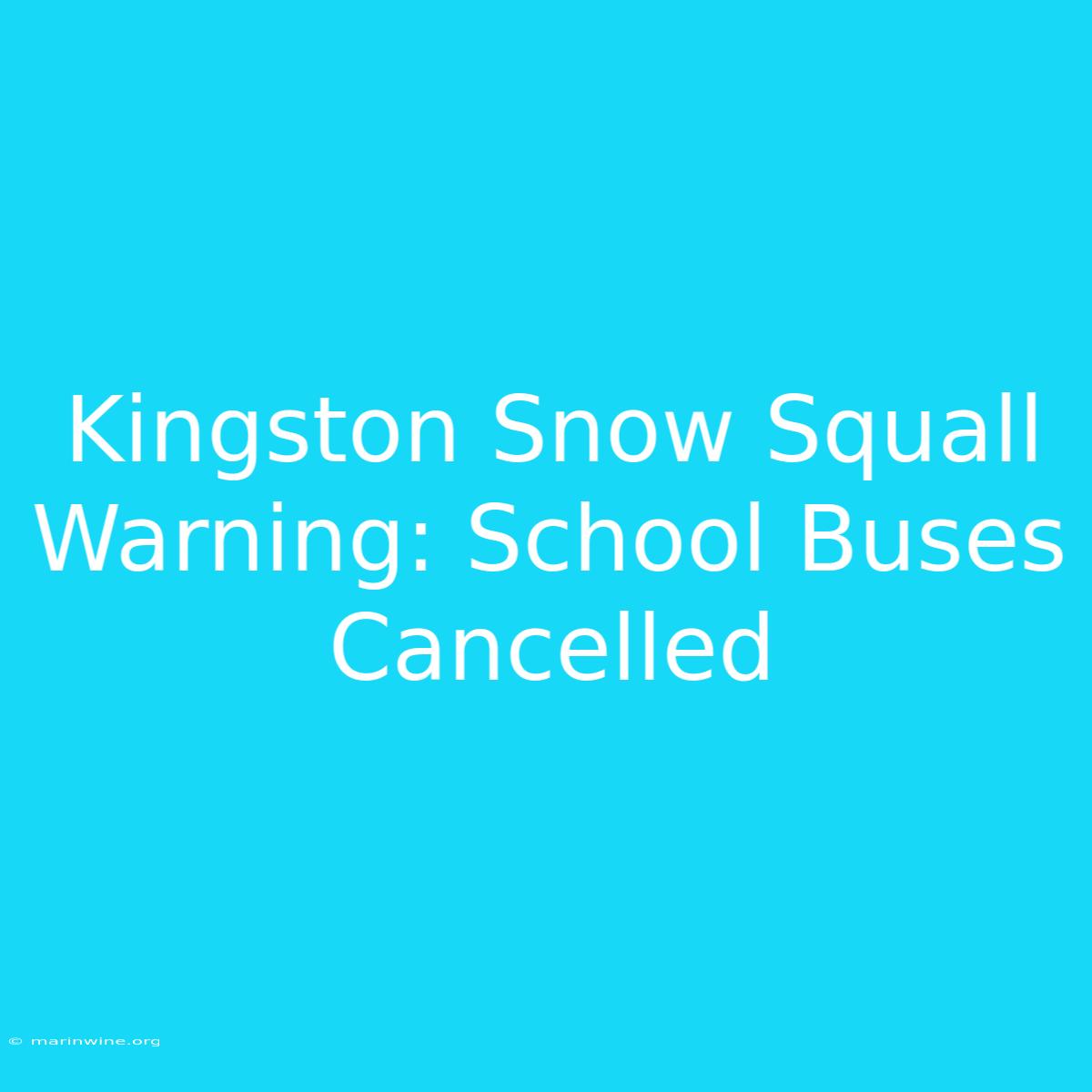 Kingston Snow Squall Warning: School Buses Cancelled