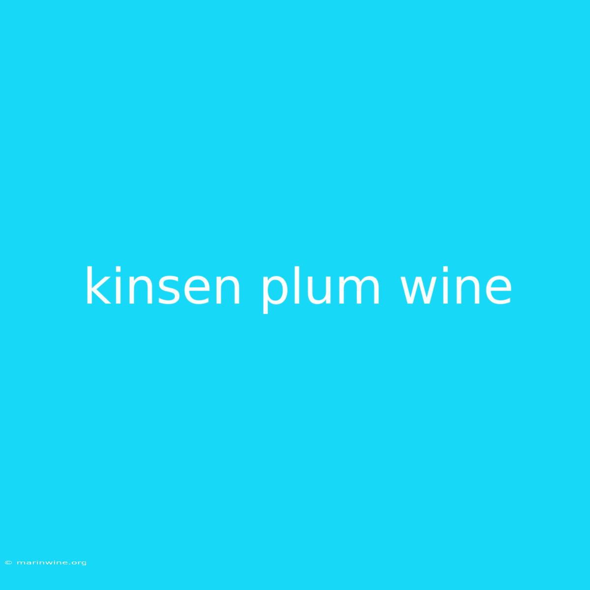 Kinsen Plum Wine