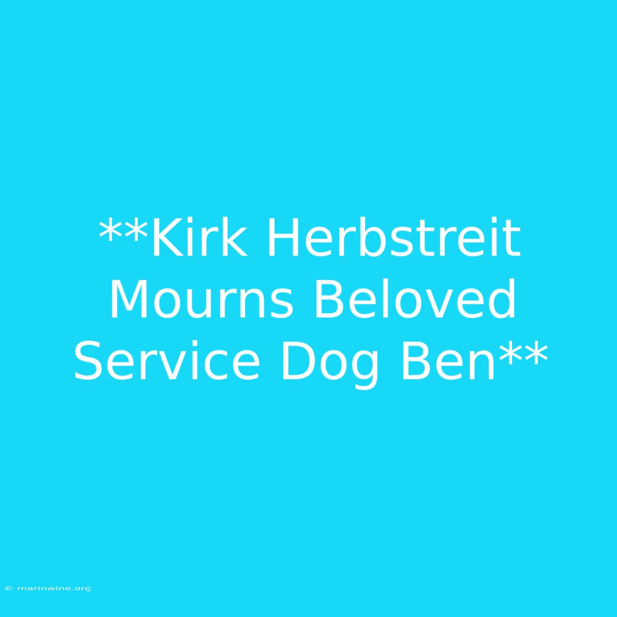 **Kirk Herbstreit Mourns Beloved Service Dog Ben**