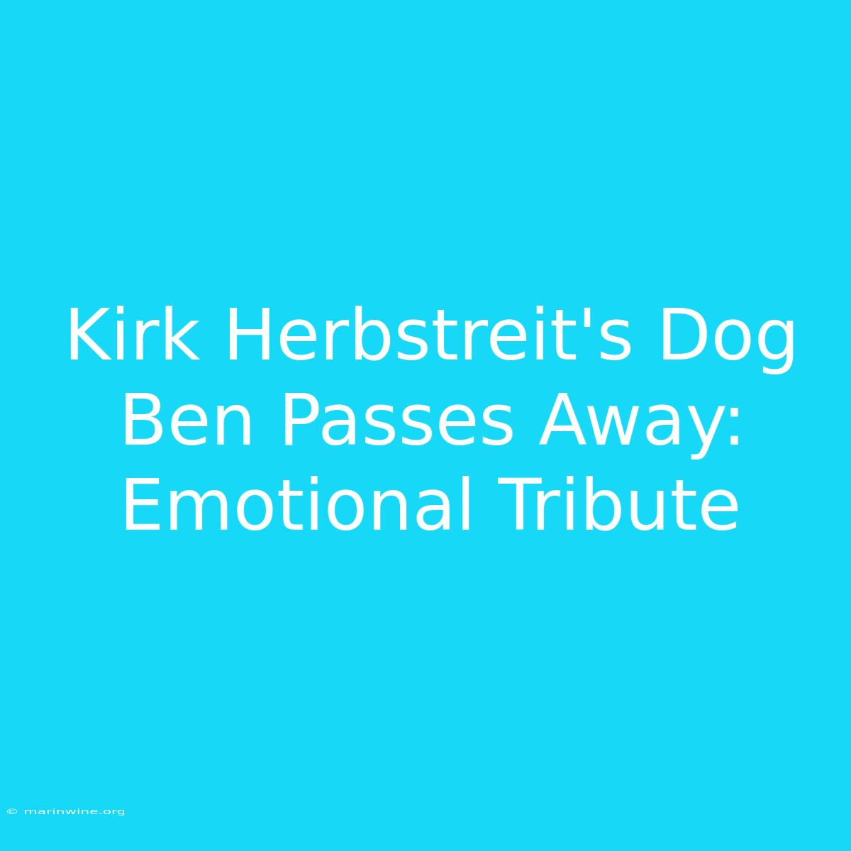 Kirk Herbstreit's Dog Ben Passes Away: Emotional Tribute 