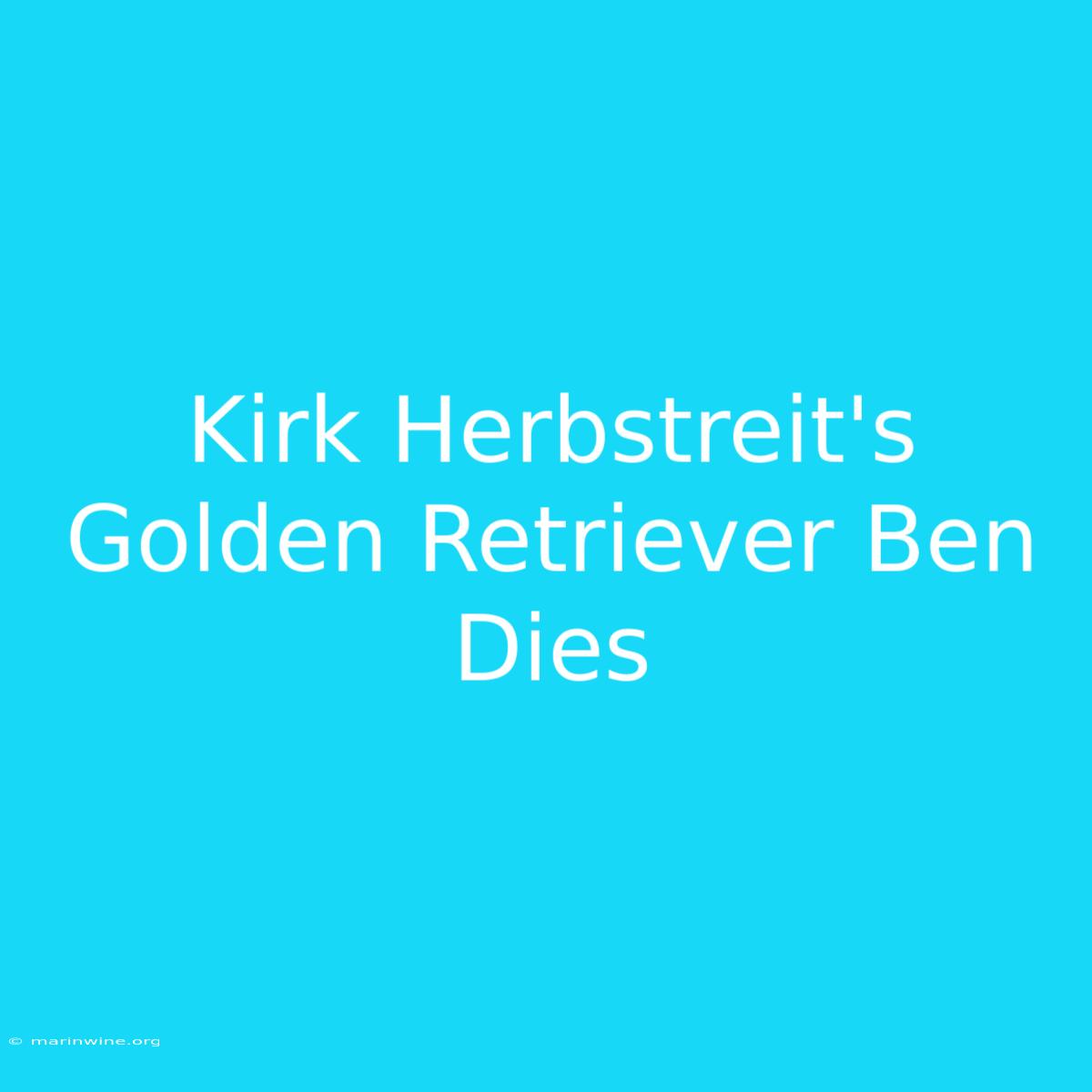 Kirk Herbstreit's Golden Retriever Ben Dies 