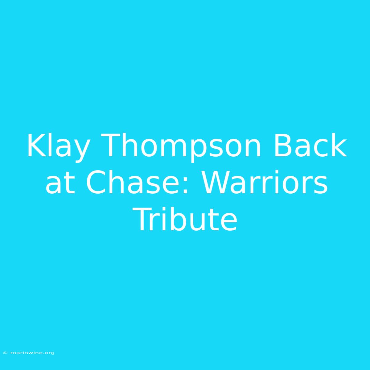 Klay Thompson Back At Chase: Warriors Tribute