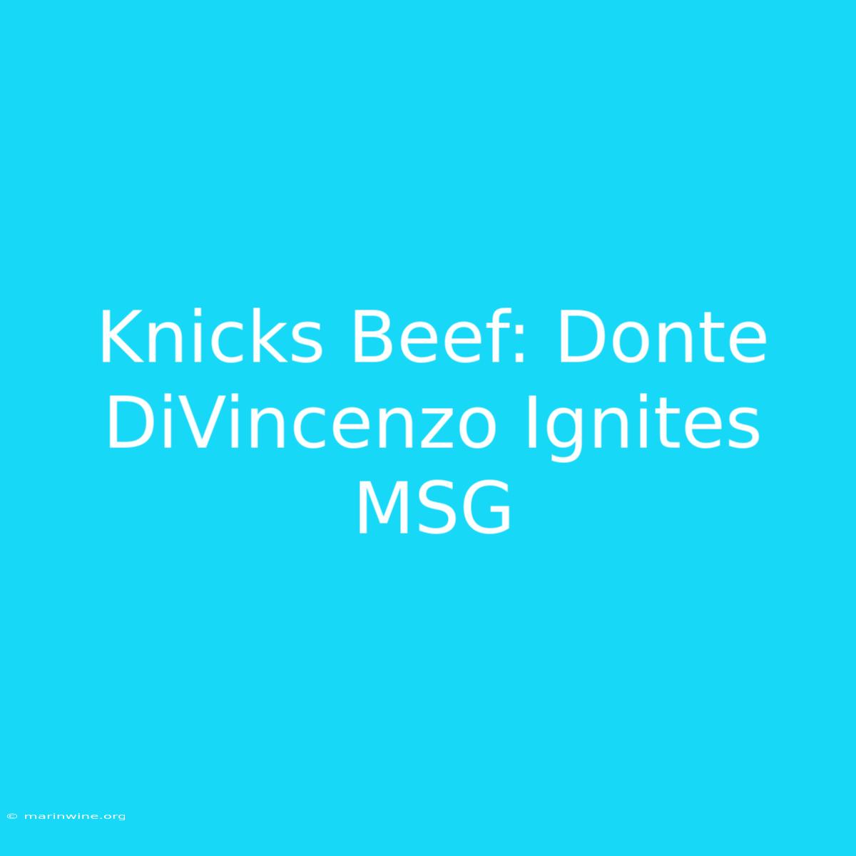 Knicks Beef: Donte DiVincenzo Ignites MSG