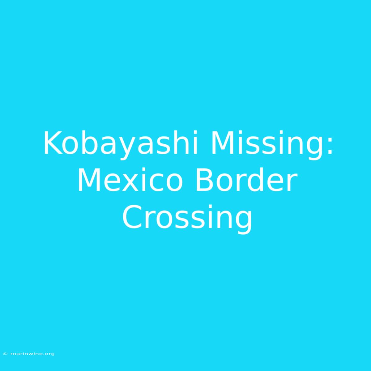 Kobayashi Missing: Mexico Border Crossing