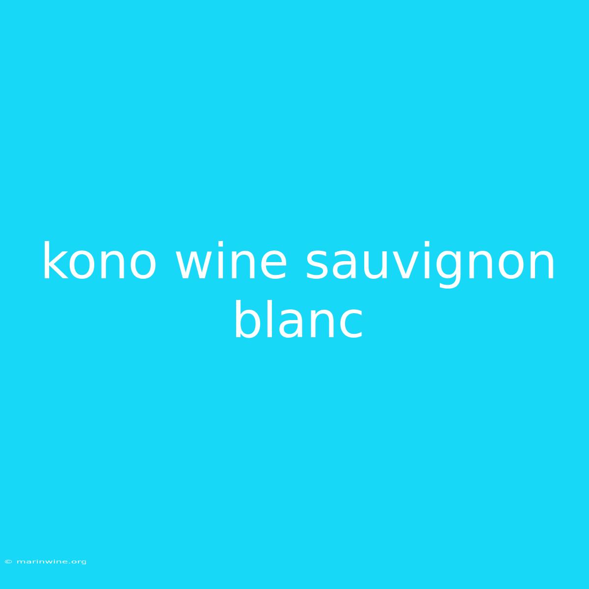 Kono Wine Sauvignon Blanc