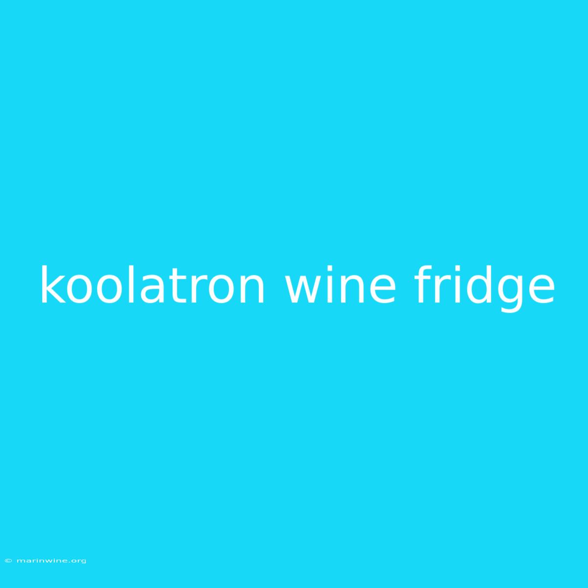 Koolatron Wine Fridge