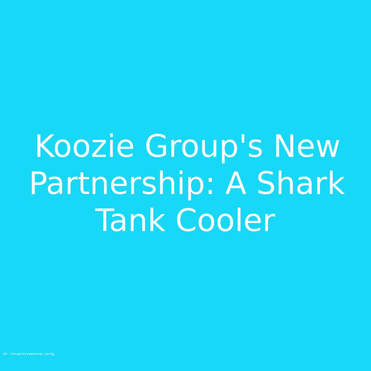 Koozie Group's New Partnership: A Shark Tank Cooler