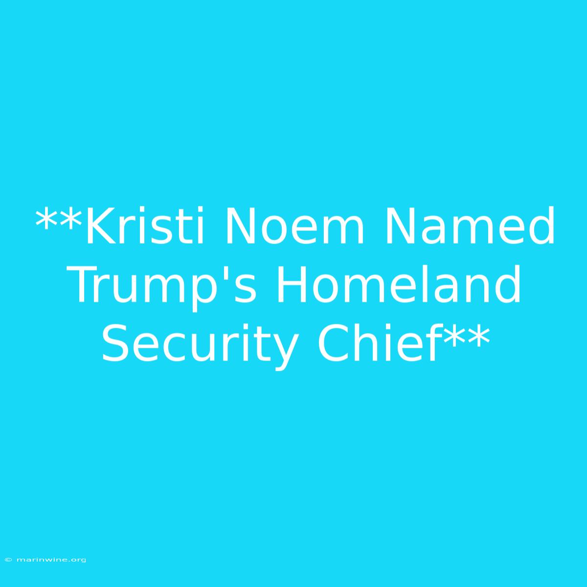 **Kristi Noem Named Trump's Homeland Security Chief** 