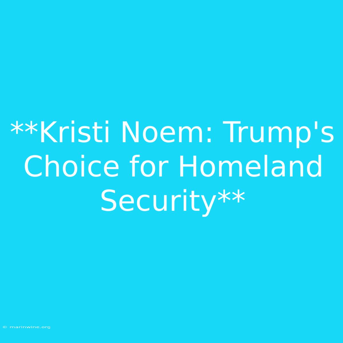 **Kristi Noem: Trump's Choice For Homeland Security**