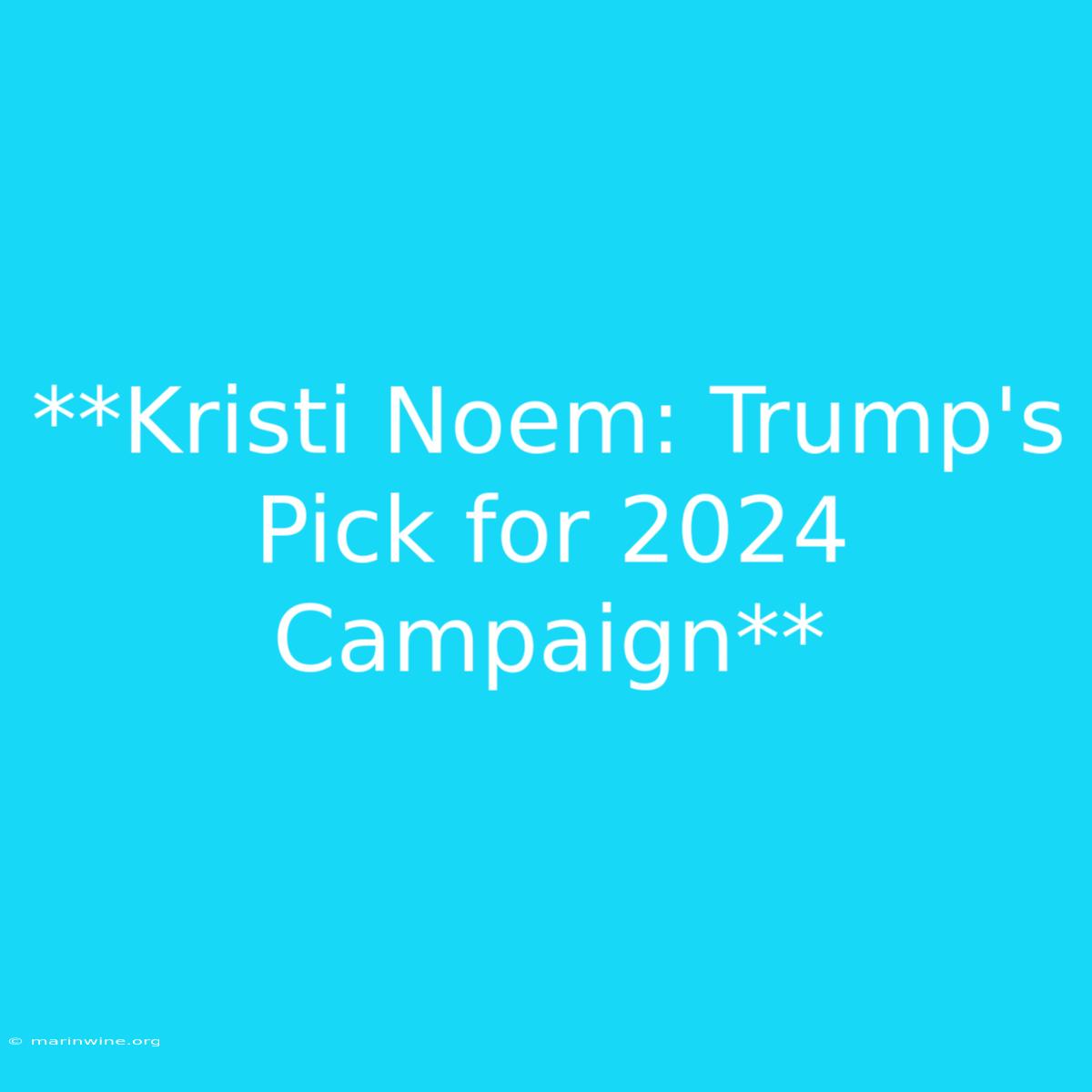 **Kristi Noem: Trump's Pick For 2024 Campaign**