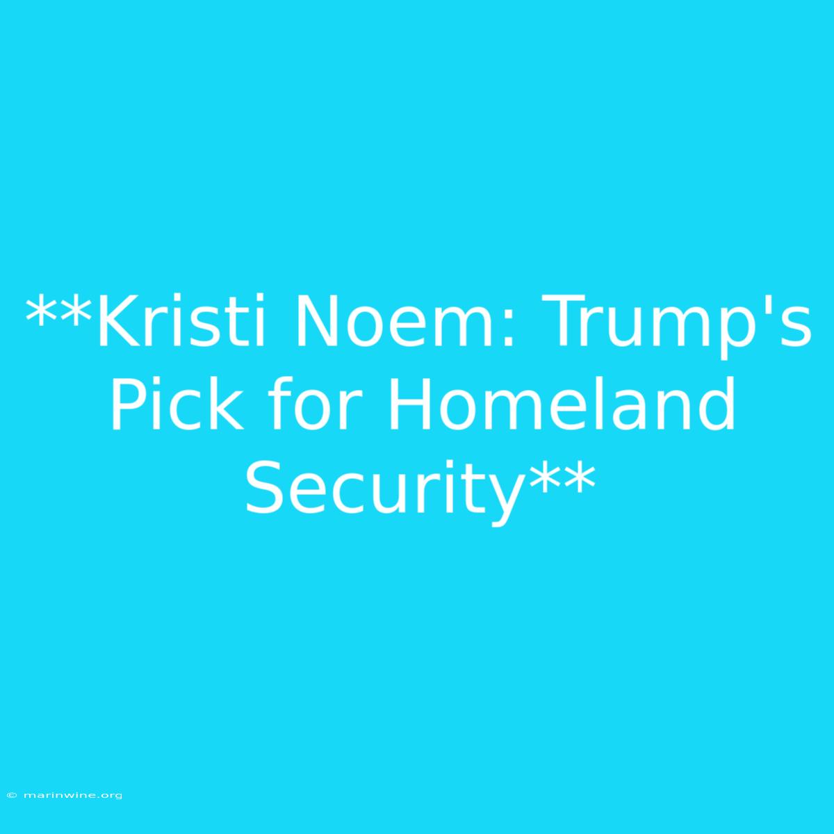 **Kristi Noem: Trump's Pick For Homeland Security**