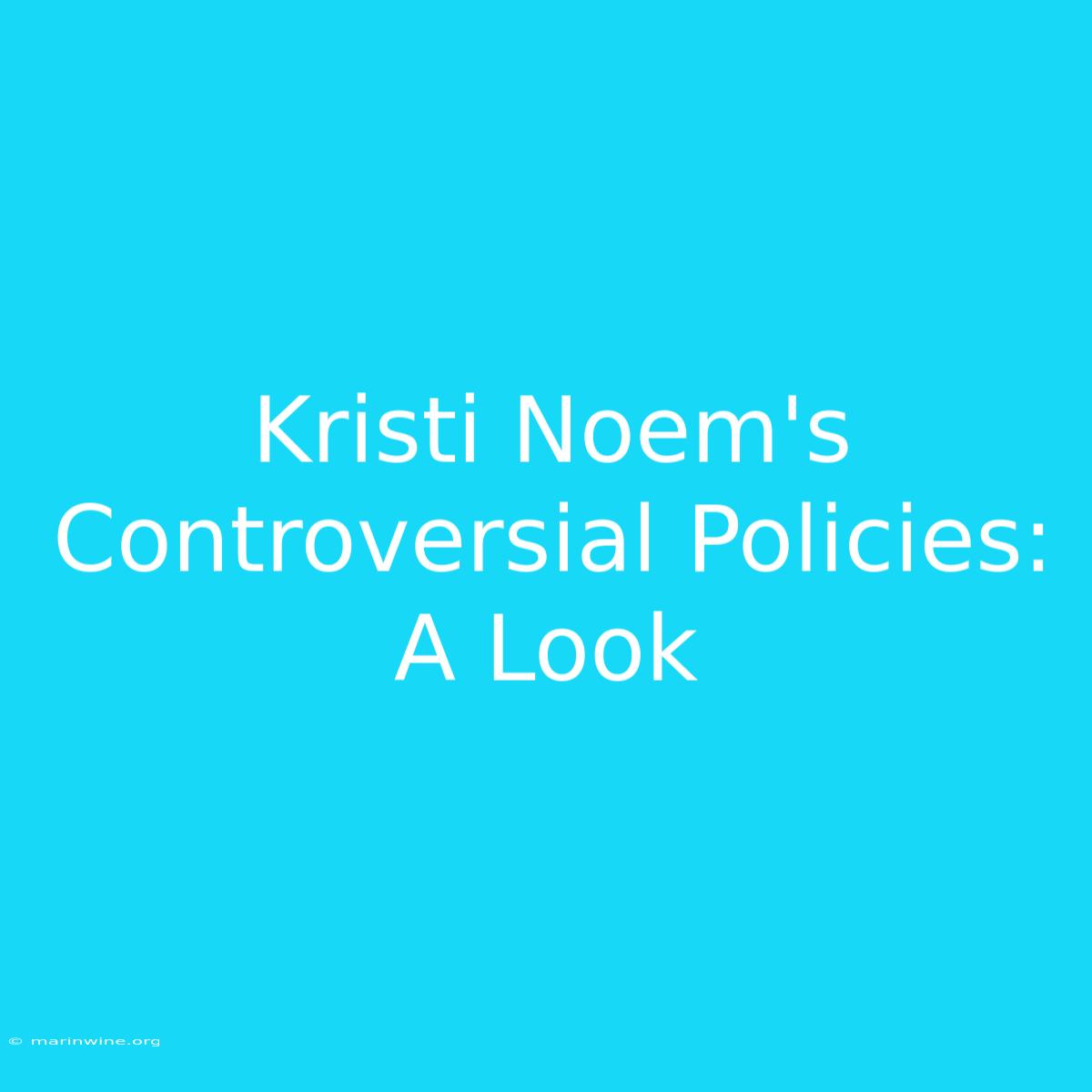 Kristi Noem's Controversial Policies: A Look