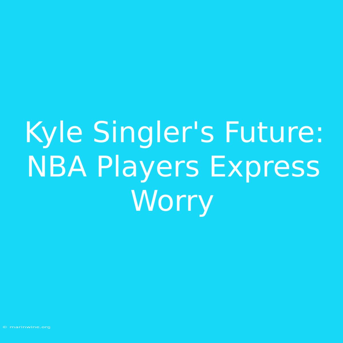 Kyle Singler's Future: NBA Players Express Worry 