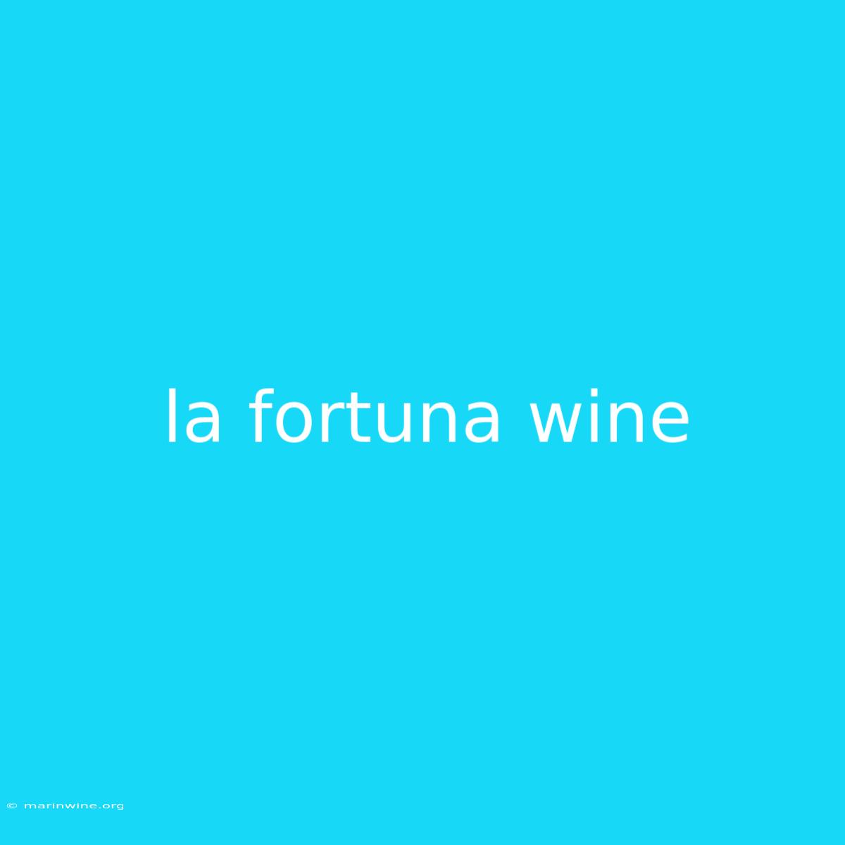 La Fortuna Wine