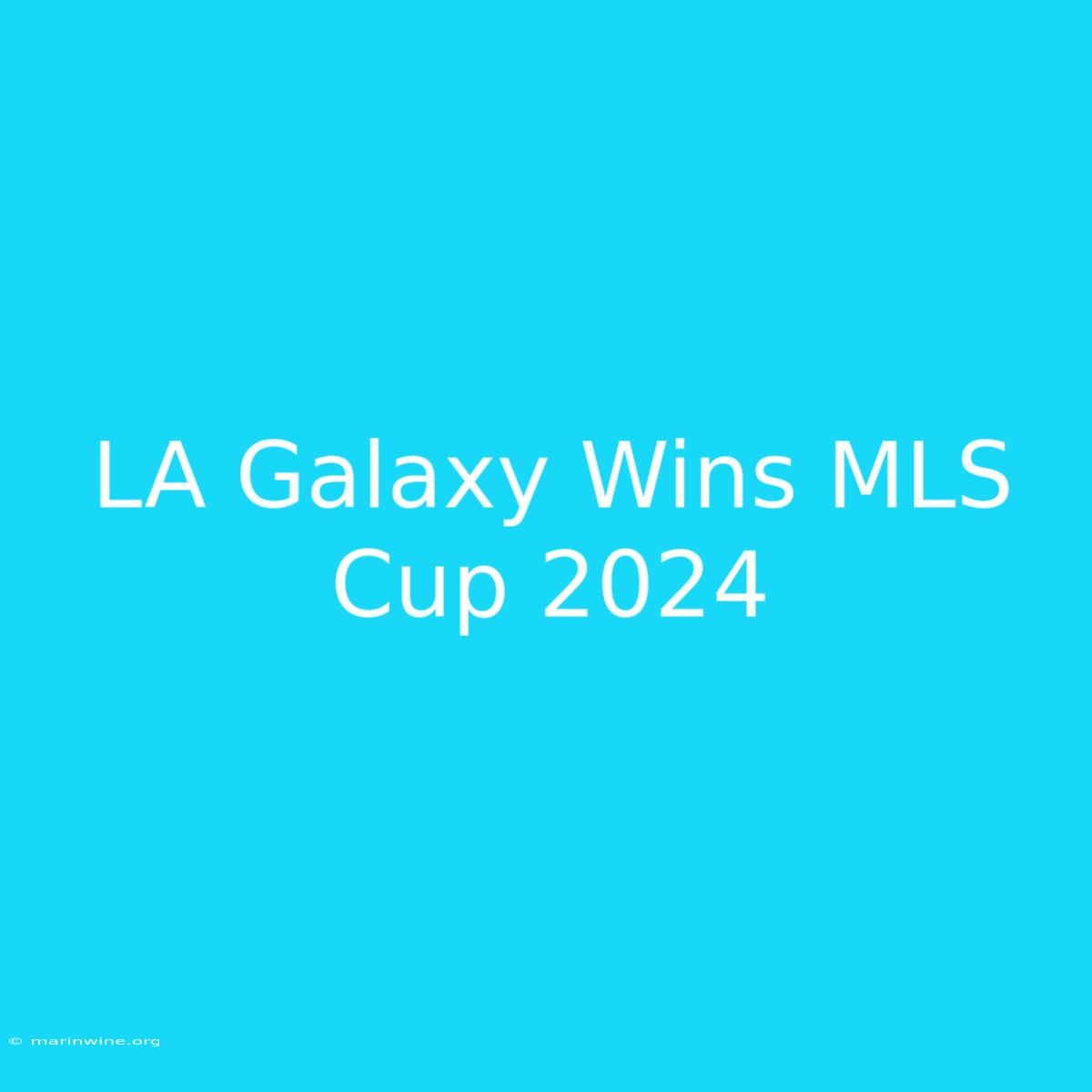 LA Galaxy Wins MLS Cup 2024