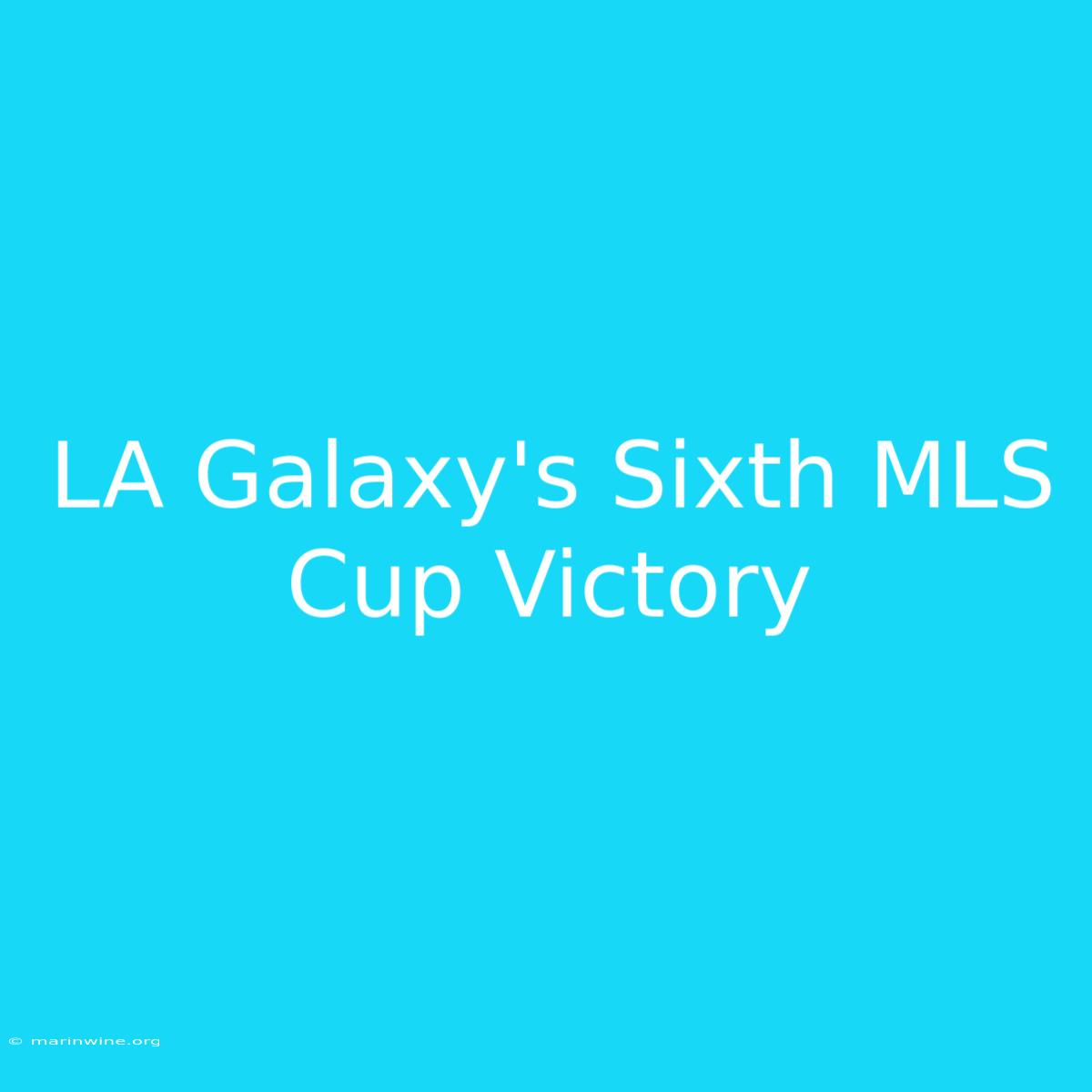 LA Galaxy's Sixth MLS Cup Victory