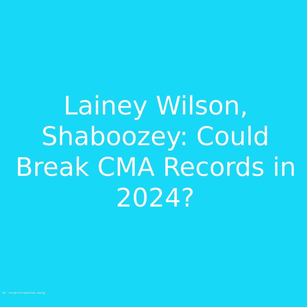 Lainey Wilson, Shaboozey: Could Break CMA Records In 2024?