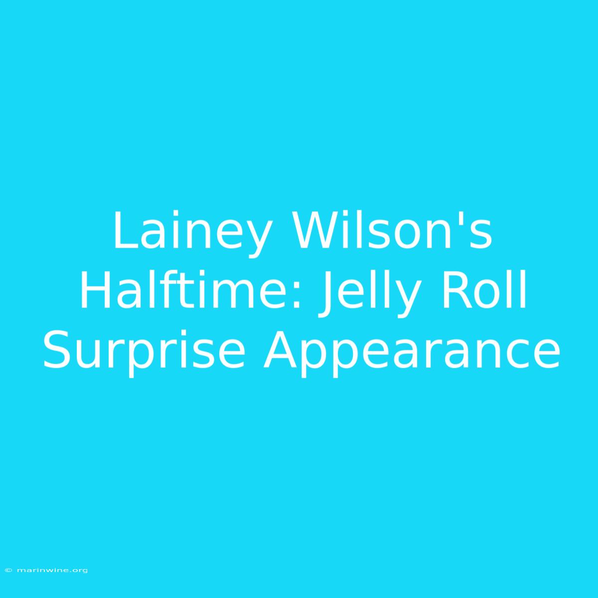 Lainey Wilson's Halftime: Jelly Roll Surprise Appearance