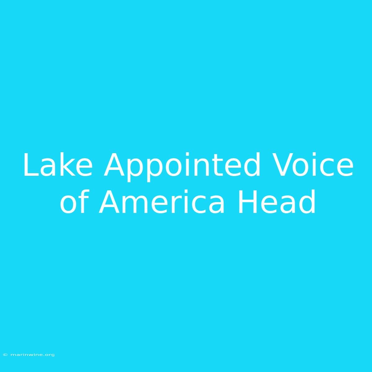 Lake Appointed Voice Of America Head