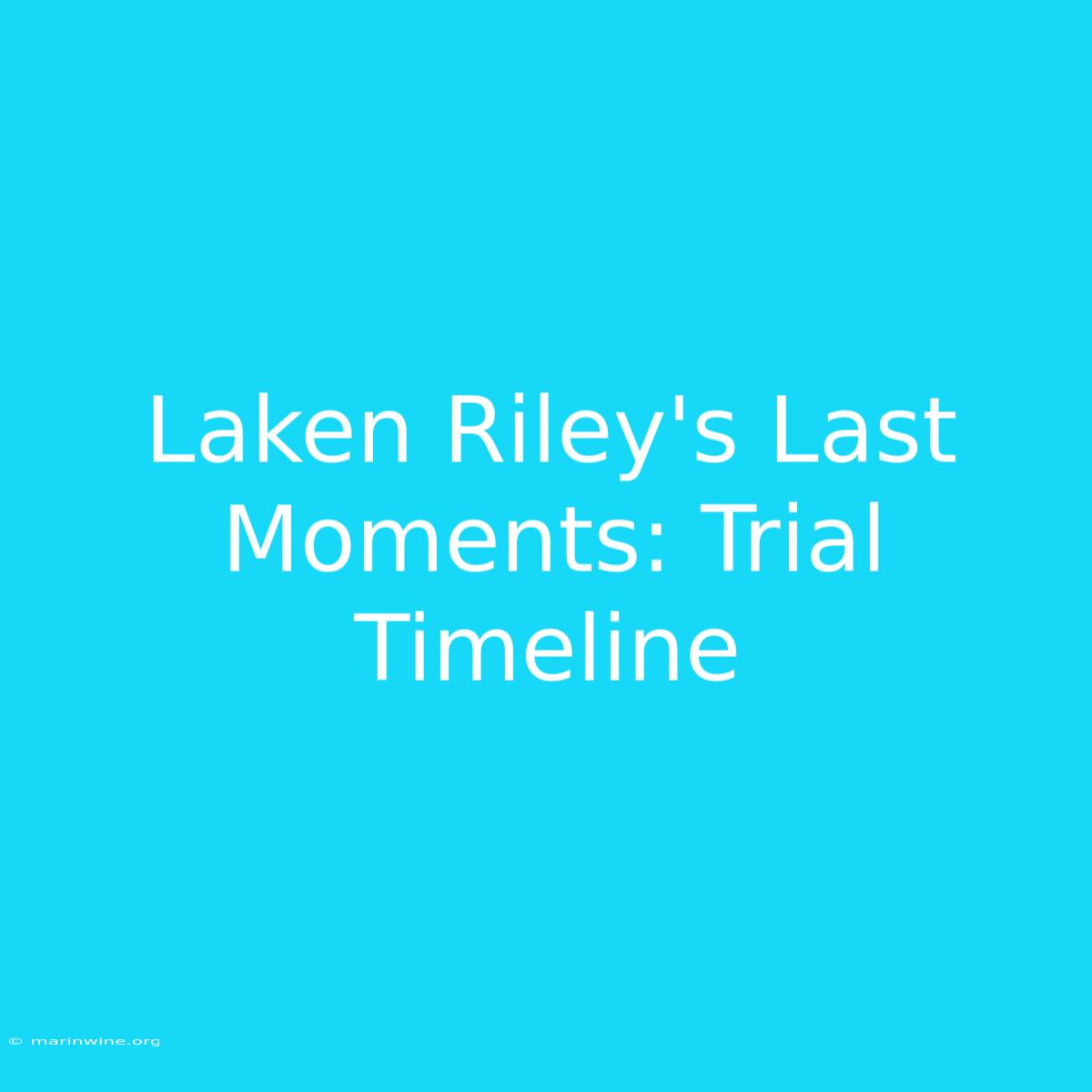 Laken Riley's Last Moments: Trial Timeline