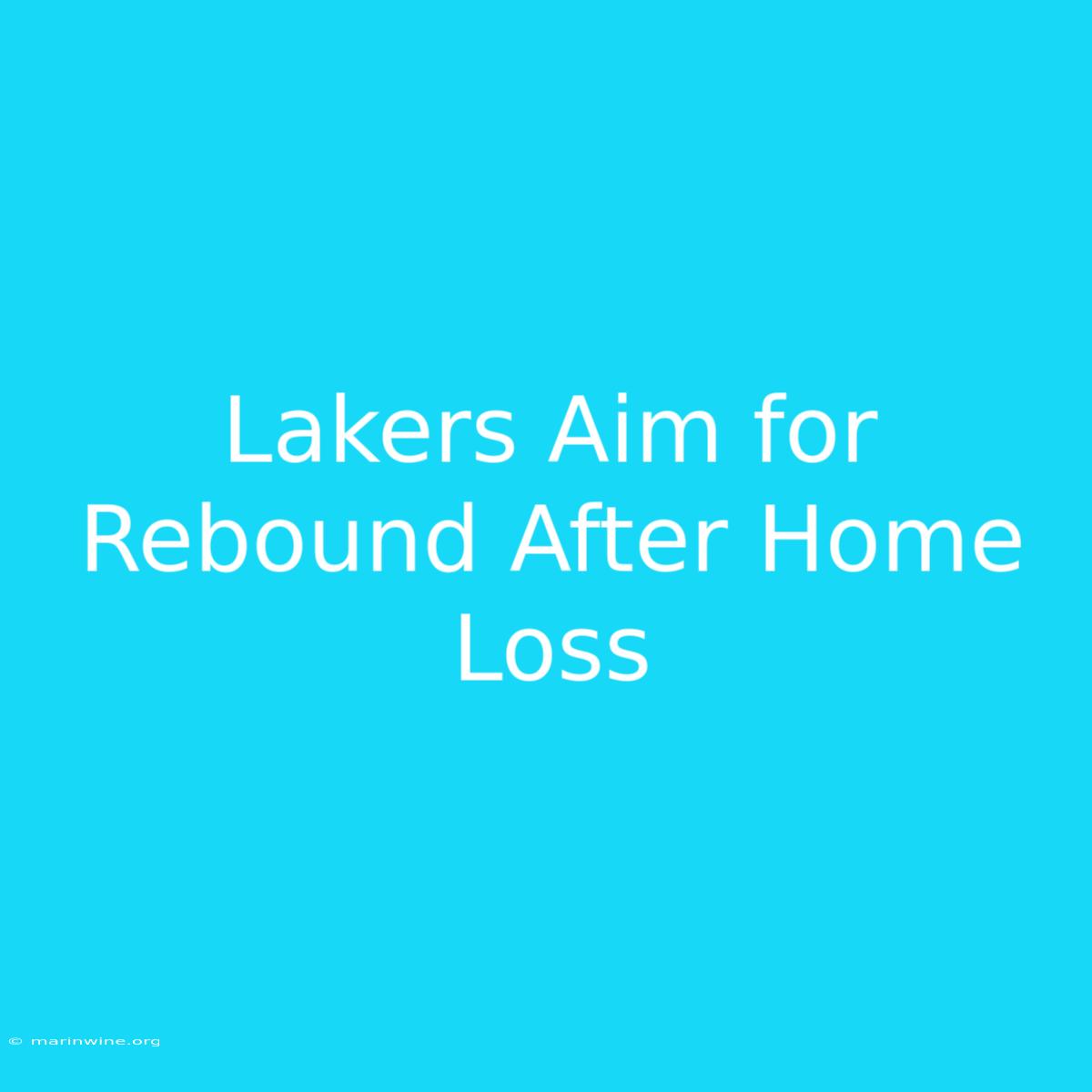 Lakers Aim For Rebound After Home Loss