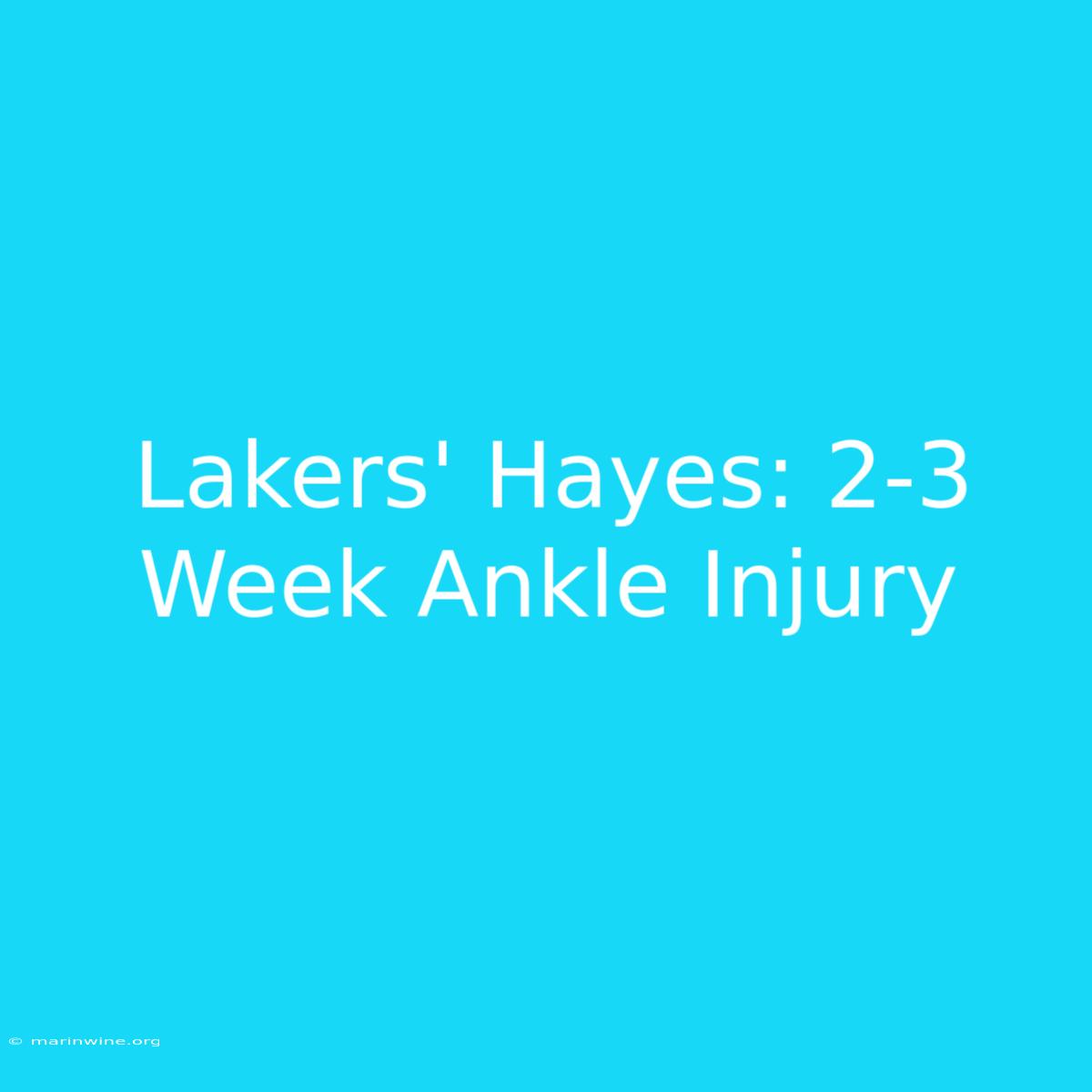 Lakers' Hayes: 2-3 Week Ankle Injury