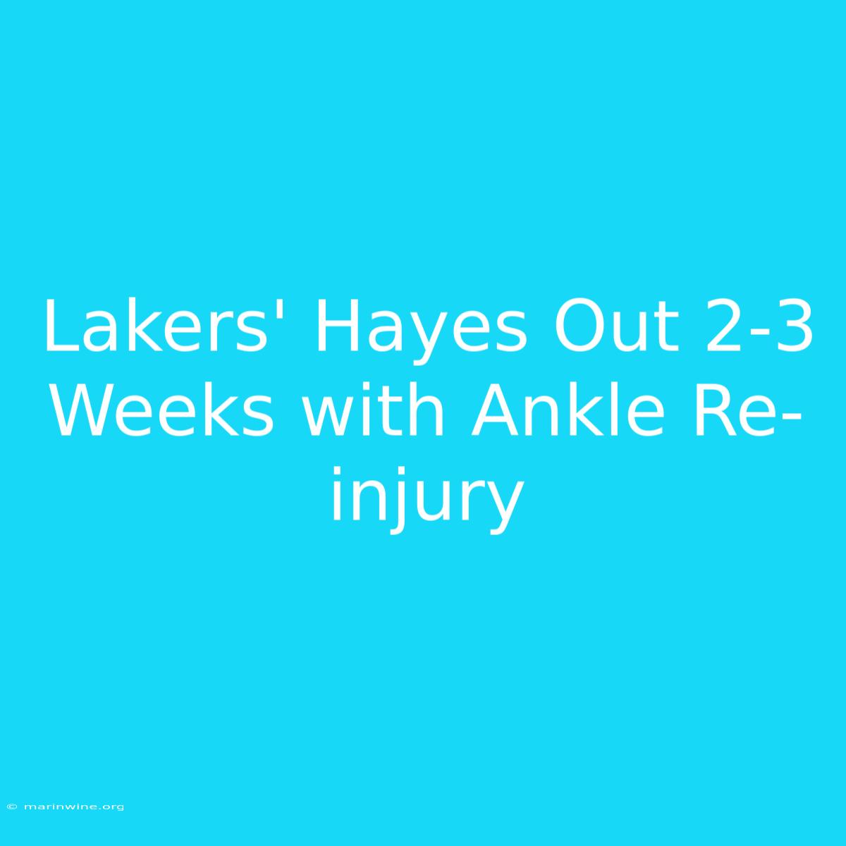 Lakers' Hayes Out 2-3 Weeks With Ankle Re-injury