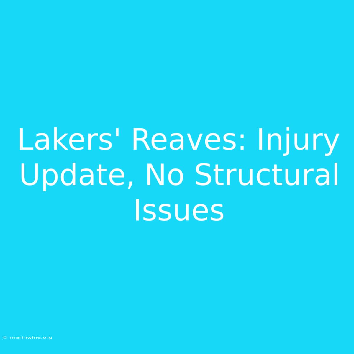 Lakers' Reaves: Injury Update, No Structural Issues